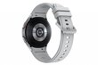 Samsung Galaxy Watch 4 Classic (LTE,46mm), Silver SM-R895FZSAEUD hind ja info | Nutikellad (smartwatch) | kaup24.ee