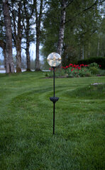 Садовый светильник с солнечным коллектором, янтарного оттенка цена и информация | Уличное освещение | kaup24.ee