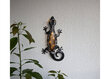 Päikesepaneeliga dekoratsioon Gecko цена и информация | Aia- ja õuevalgustid | kaup24.ee