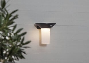 Päikesepaneeliga aiavalgusti Valta цена и информация | Уличное освещение | kaup24.ee