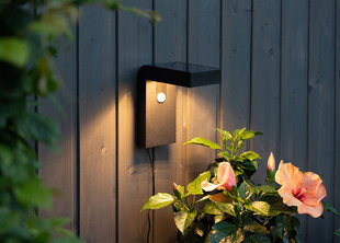 Садовый светильник с солнечной панелью Vici цена и информация | Уличное освещение | kaup24.ee