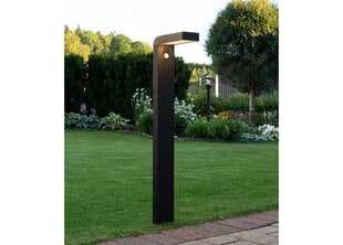 Садовый светильник с солнечной панелью Vici цена и информация | Уличное освещение | kaup24.ee