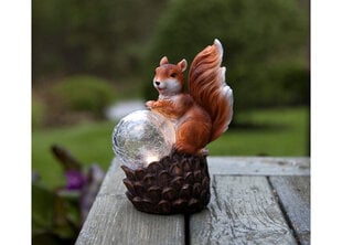 Päikesepaneeliga aiavalgusti Squirrel hind ja info | Aia- ja õuevalgustid | kaup24.ee