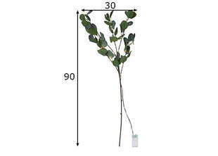 Декоративный эвкалипт цена и информация | Рождественские украшения | kaup24.ee