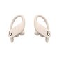 Powerbeats Pro Totally Wireless Earphones Ivory - MY5D2ZM/A цена и информация | Kõrvaklapid | kaup24.ee