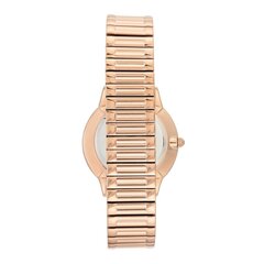 Часы женские Anne Klein AK/3684SVRG 891154405 цена и информация | Женские часы | kaup24.ee