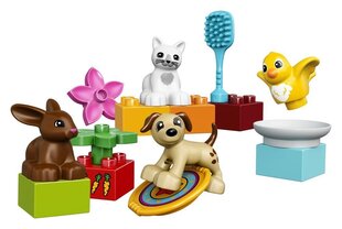 10838 LEGO® DUPLO lemmikloomad hind ja info | Klotsid ja konstruktorid | kaup24.ee