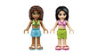 41313 LEGO® FRIENDS Heartlake suve bassein hind ja info | Klotsid ja konstruktorid | kaup24.ee