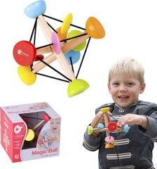 Arkaadmäng Magic Ball Classic World hind ja info | Imikute mänguasjad | kaup24.ee