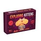 Lauamäng Exploding Kittens: Party Pack, ENG цена и информация | Lauamängud ja mõistatused | kaup24.ee