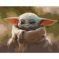 Maalimiskomplekt numbrite järgi, Master Yoda 40 x 50 цена и информация | Maalid numbri järgi | kaup24.ee