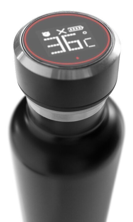Nutikas pudel GadgetMonster GDM-1001, 750 ml hind ja info | Joogipudelid | kaup24.ee