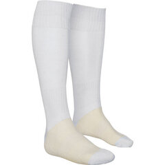 Профессиональные спортивные носки цена и информация | Носки, колготки для мальчиков | kaup24.ee
