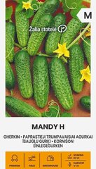 Tavaline lühike kurk Mandy H цена и информация | Семена овощей, ягод | kaup24.ee