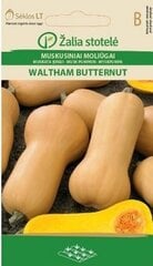 Тыква мускатная WALTHAM BUTTERNUT цена и информация | Семена овощей, ягод | kaup24.ee