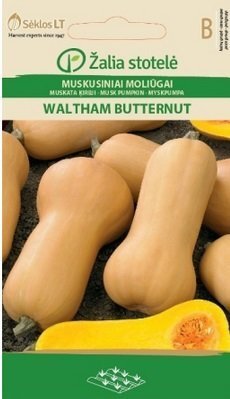 Muskaatkõrvits Waltham Butternut hind ja info | Köögivilja-, marjaseemned | kaup24.ee