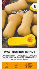 Тыква мускатная WALTHAM BUTTERNUT цена и информация | Семена овощей, ягод | kaup24.ee