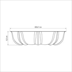 Tramontina Brasil tordivorm 24 cm, 2,0 l цена и информация | Формы, посуда для выпечки | kaup24.ee