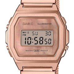 Часы для женщин Casio Vintage  цена и информация | Женские часы | kaup24.ee