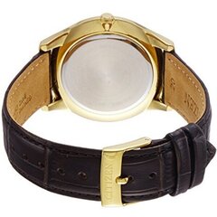 Мужские часы Citizen BD0043-08B цена и информация | Мужские часы | kaup24.ee