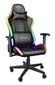 GAMING CHAIR GXT716 RIZZA RGB/23845 TRUST цена и информация | Kontoritoolid | kaup24.ee