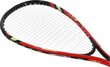 Speedminton komplekt Nils Extreme NRS001, 2 reketit, pallid, ümbris hind ja info | Sulgpall | kaup24.ee