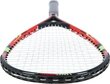 Speedminton komplekt Nils Extreme NRS001, 2 reketit, pallid, ümbris hind ja info | Sulgpall | kaup24.ee