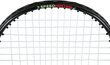 Speedminton komplekt Nils Extreme NRS001, 2 reketit, pallid, ümbris hind ja info | Sulgpall | kaup24.ee