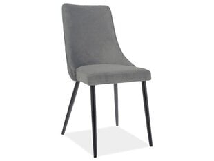 2-osaline toolide komplekt Signal Meble Piano B, hall hind ja info | Söögilaua toolid, köögitoolid | kaup24.ee