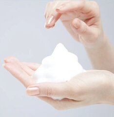 Дозатор мыла-пены JVD Cleanline Foam 0.7л цена и информация | Аксессуары для ванной комнаты | kaup24.ee