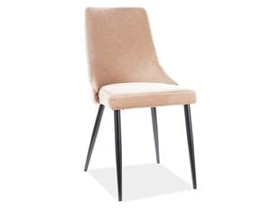 2-osaline toolide komplekt Signal Meble Piano B, beež hind ja info | Söögilaua toolid, köögitoolid | kaup24.ee