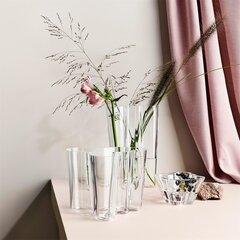 Iittala Aalto vaas 9.5 cm hind ja info | Vaasid | kaup24.ee