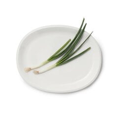 Iittala Raami serveerimisalus ovaalne 35cm valge цена и информация | Посуда, тарелки, обеденные сервизы | kaup24.ee