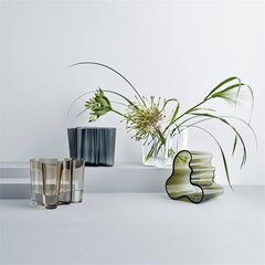 Iittala Aalto vaas 16 cm цена и информация | Вазы | kaup24.ee