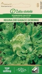 Salat Regina Dei Ghiacci цена и информация | Семена овощей, ягод | kaup24.ee