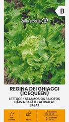 Salat Regina Dei Ghiacci hind ja info | Köögivilja-, marjaseemned | kaup24.ee