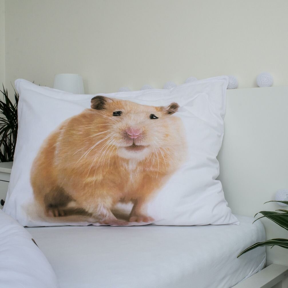 Voodipesukomplekt Hamster 140 x 200 cm + padjapüür 70 x 90 cm цена и информация | Beebide ja laste voodipesu | kaup24.ee