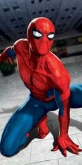 Пляжное полотенце 70 x 140 см, Spderman цена и информация | Полотенца | kaup24.ee