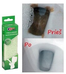 Блок очистки Cleaning Block WC, шт. цена и информация | Тазик с ручками круглый 9л, серый | kaup24.ee