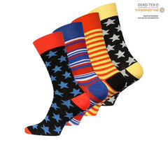 Носки мужские Vincent Creation Stars & Stripes, 4 пары цена и информация | Мужские носки | kaup24.ee