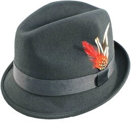Фетровая шляпа Fedora цена и информация | Мужские шарфы, шапки, перчатки | kaup24.ee