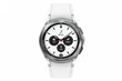 Samsung Galaxy Watch 4 Classic (LTE,42mm), Silver SM-R885FZSAEUD hind ja info | Nutikellad (smartwatch) | kaup24.ee