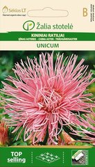 Астра китайская Unicum цена и информация | Семена цветов | kaup24.ee