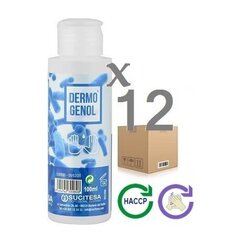 Käte desinfitseerimise geel Dermogenol 100 ml, 12 tk. цена и информация | Аптечки | kaup24.ee