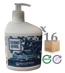 Käte desinfitseerimise geel Dermogenol, 16 x 500 ml цена и информация | Аптечки | kaup24.ee