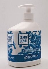 Käte desinfitseerimise geel Dermogenol, 16 x 500 ml цена и информация | Аптечки | kaup24.ee