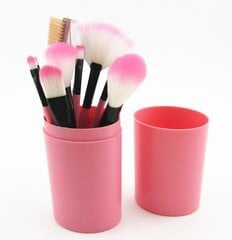 Meigipintslite komplekt ja ümbris, roosa цена и информация | Кисти для макияжа, спонжи | kaup24.ee