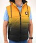 Meeste vest JP 809, kollane hind ja info | Meeste vestid | kaup24.ee