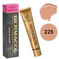 Dermacol Make-Up Cover 229 30 g цена и информация | Jumestuskreemid, puudrid | kaup24.ee