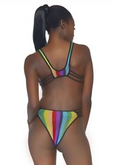 Leg Avenue сексуальный боди Rainbow Fishnet Bodysuit цена и информация | Сексуальное женское белье | kaup24.ee